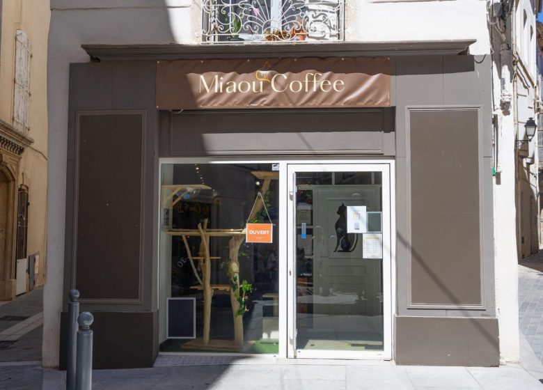 MIAOU COFFEE