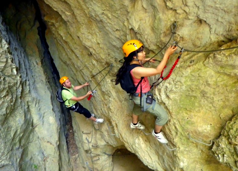 OFFICE DES MONITEURS DU LANGUEDOC